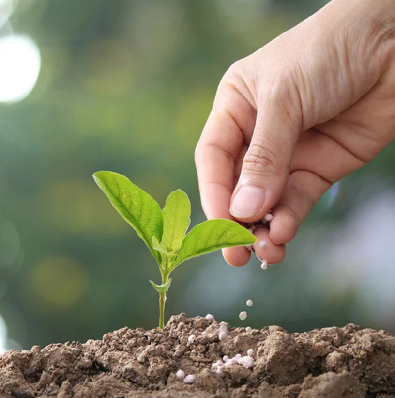 Plant Care Products & Fertilizers