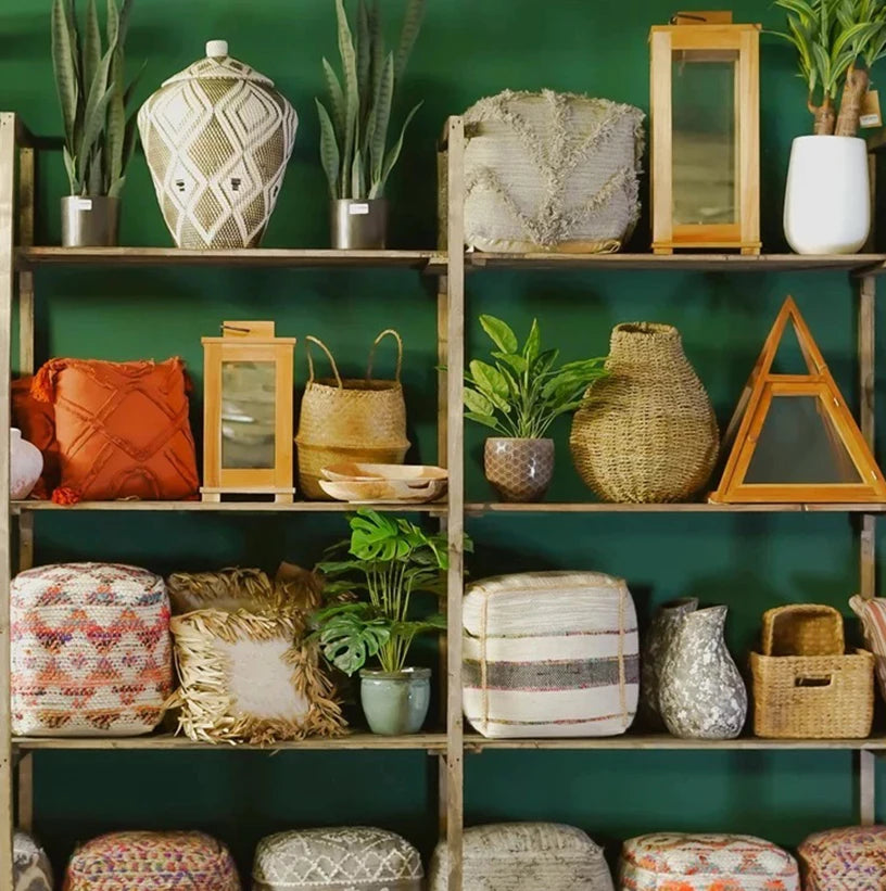 Exclusive Offers on Plants, Furniture & Garden Decor