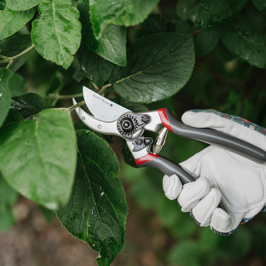 DIY Gardening Tools and Equipment