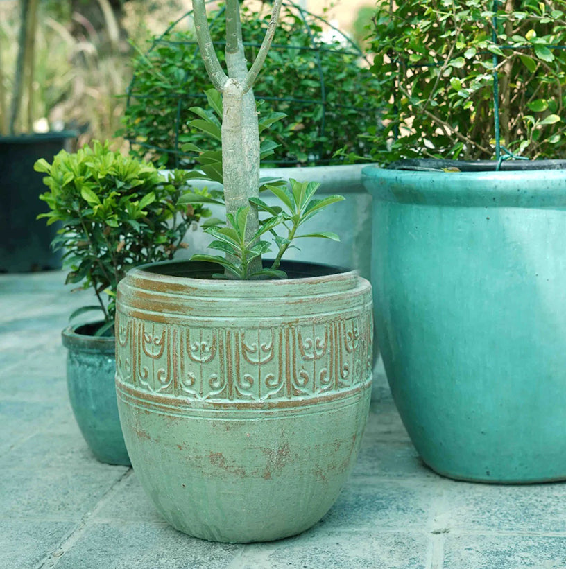Plant Pots and Containers