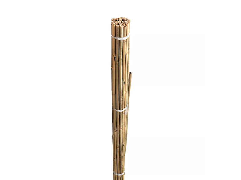 Bamboo canes bundle 20pk