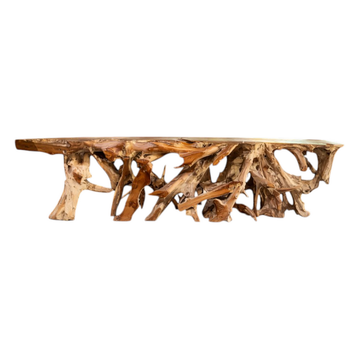 Primitive Root Console