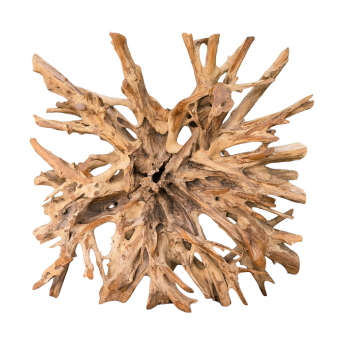 Spider root deco 130x20x130H