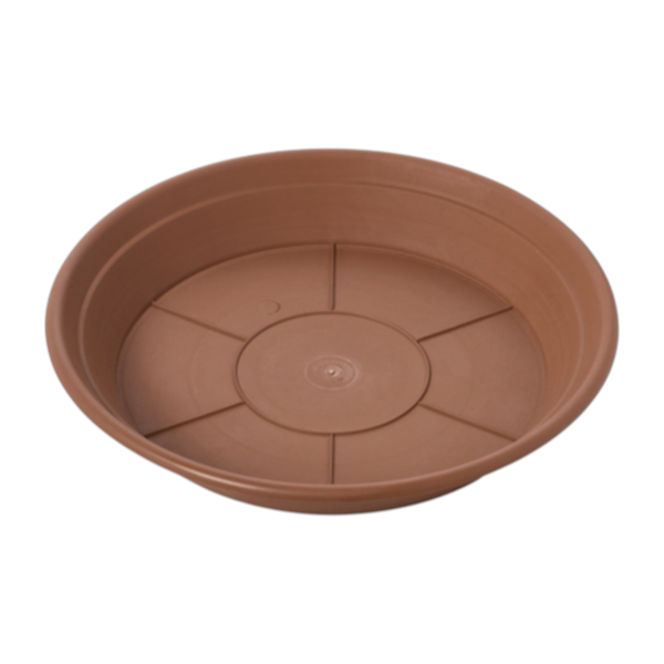 ER Leader Saucer Tera 18cm
