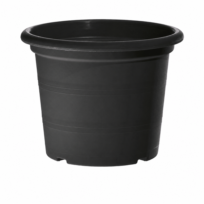 ER Leader Anth pot 18cm