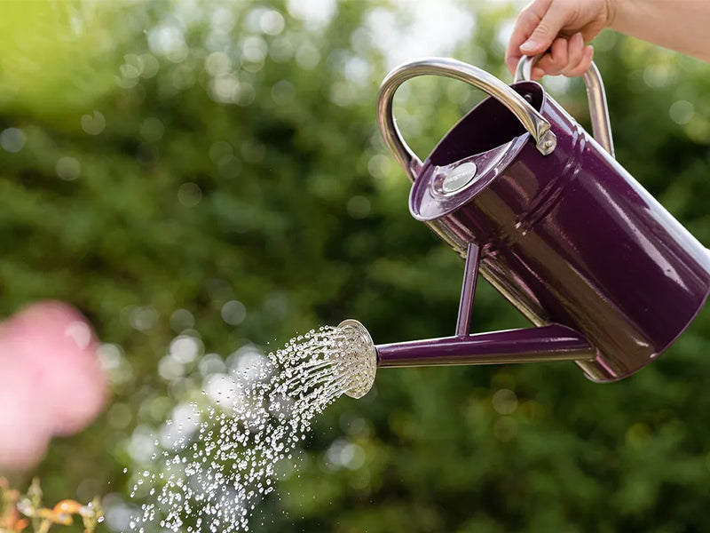 KS Metal Watering Can Violet 4.5ltr