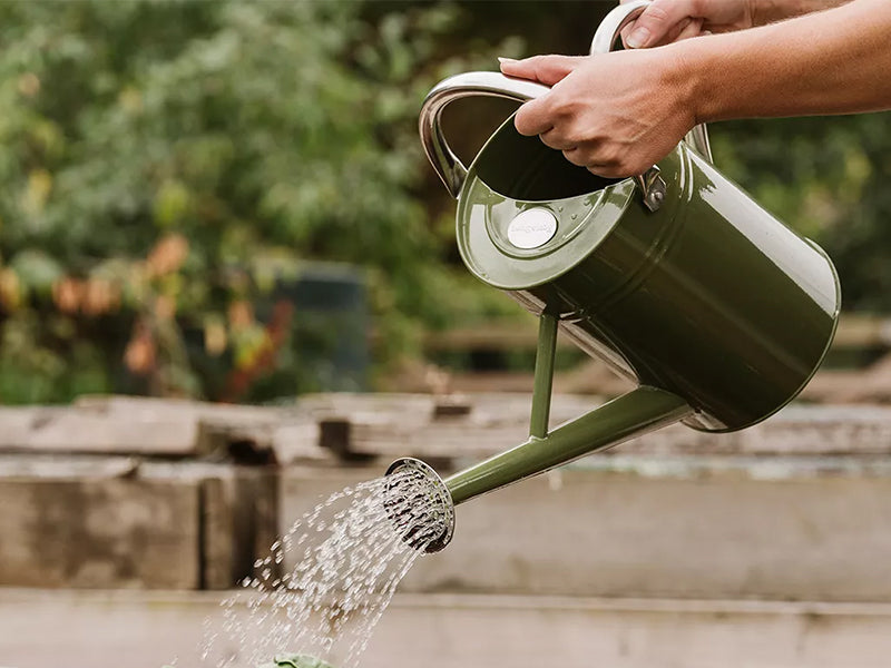 KS Metal Watering Can Violet 4.5ltr
