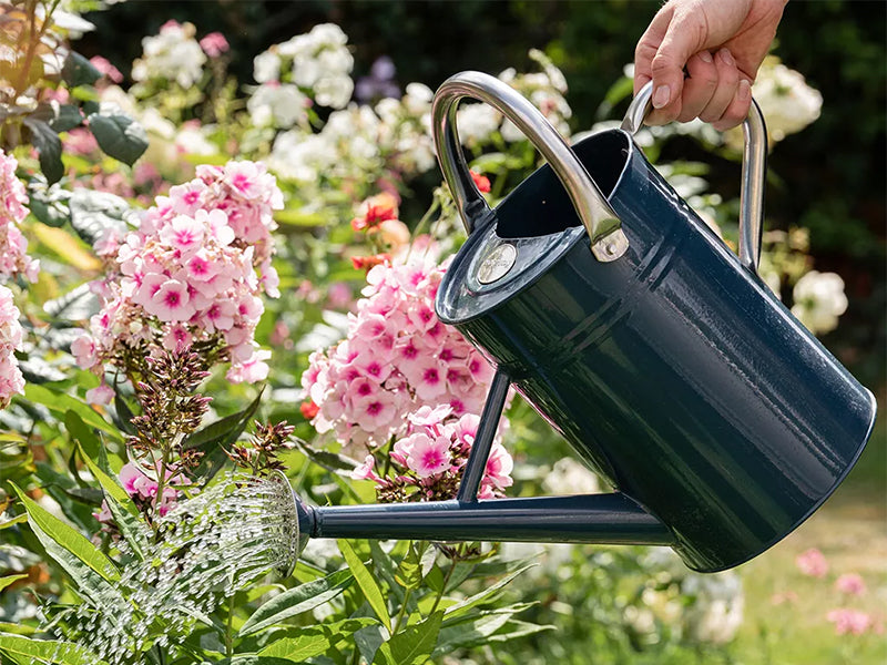KS Metal Watering Can Violet 4.5ltr