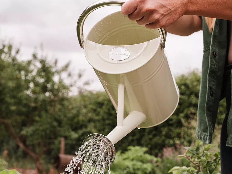 KS Metal Watering Can Violet 4.5ltr