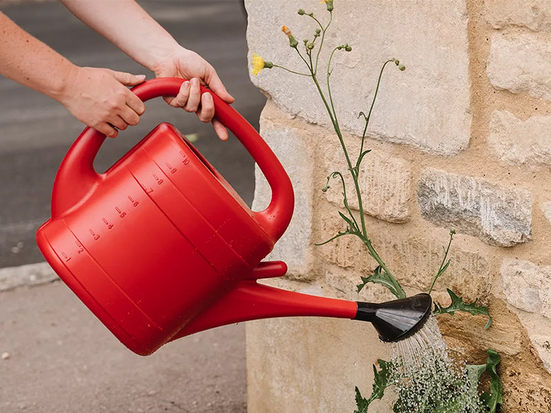 Plastic Watering Can - 10L Red