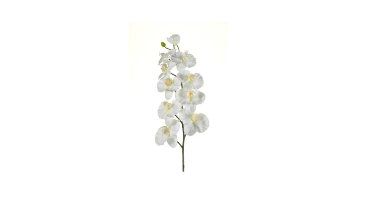 Art. Phalaenopsis Spray Cream 100cm