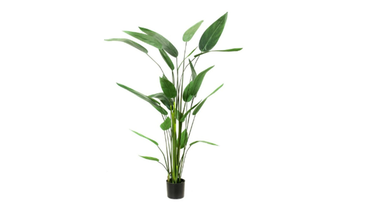 Art. Heliconia 175cm/26lvs