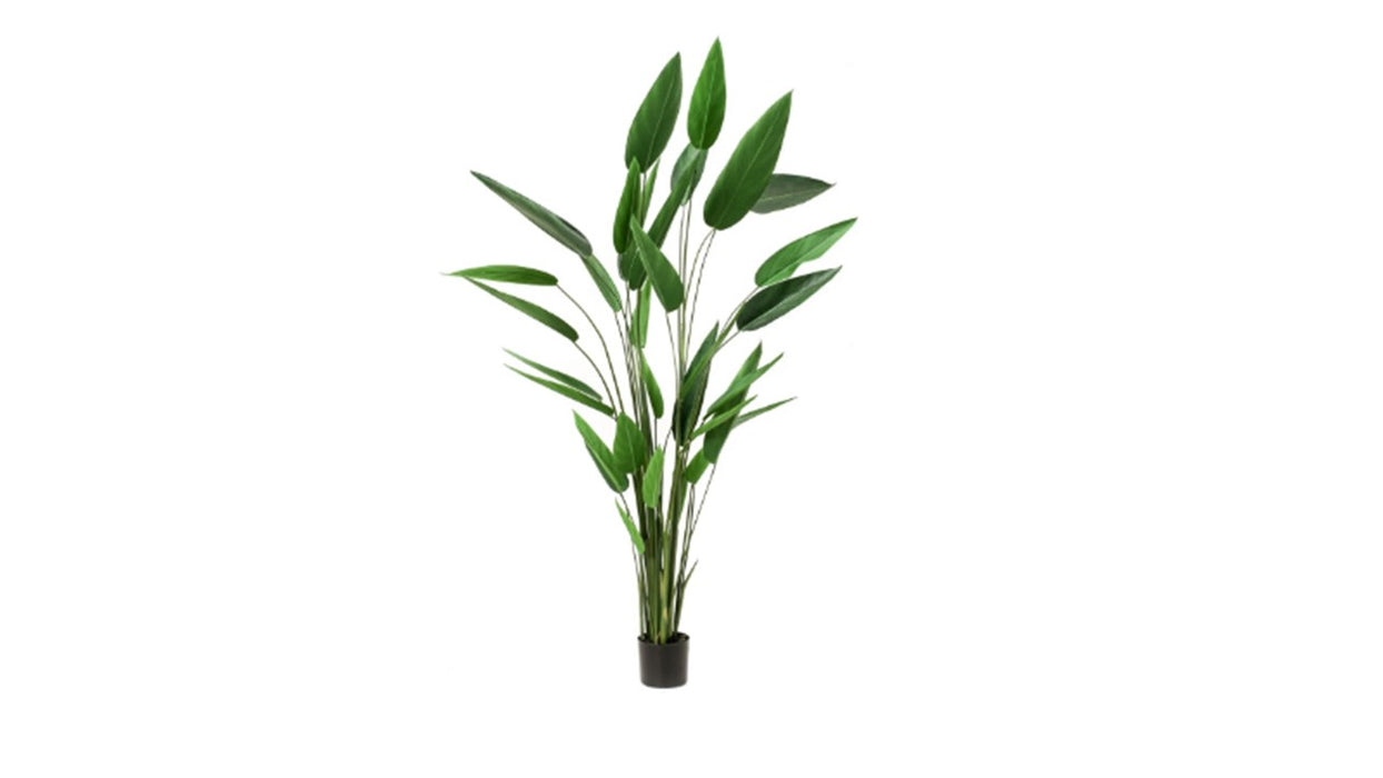 Art. Heliconia 220cm/32lvs