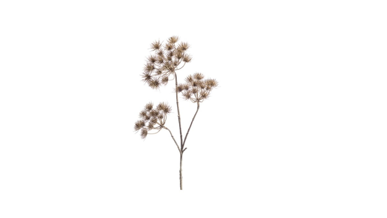 Art. Heracleum Branch 102cm