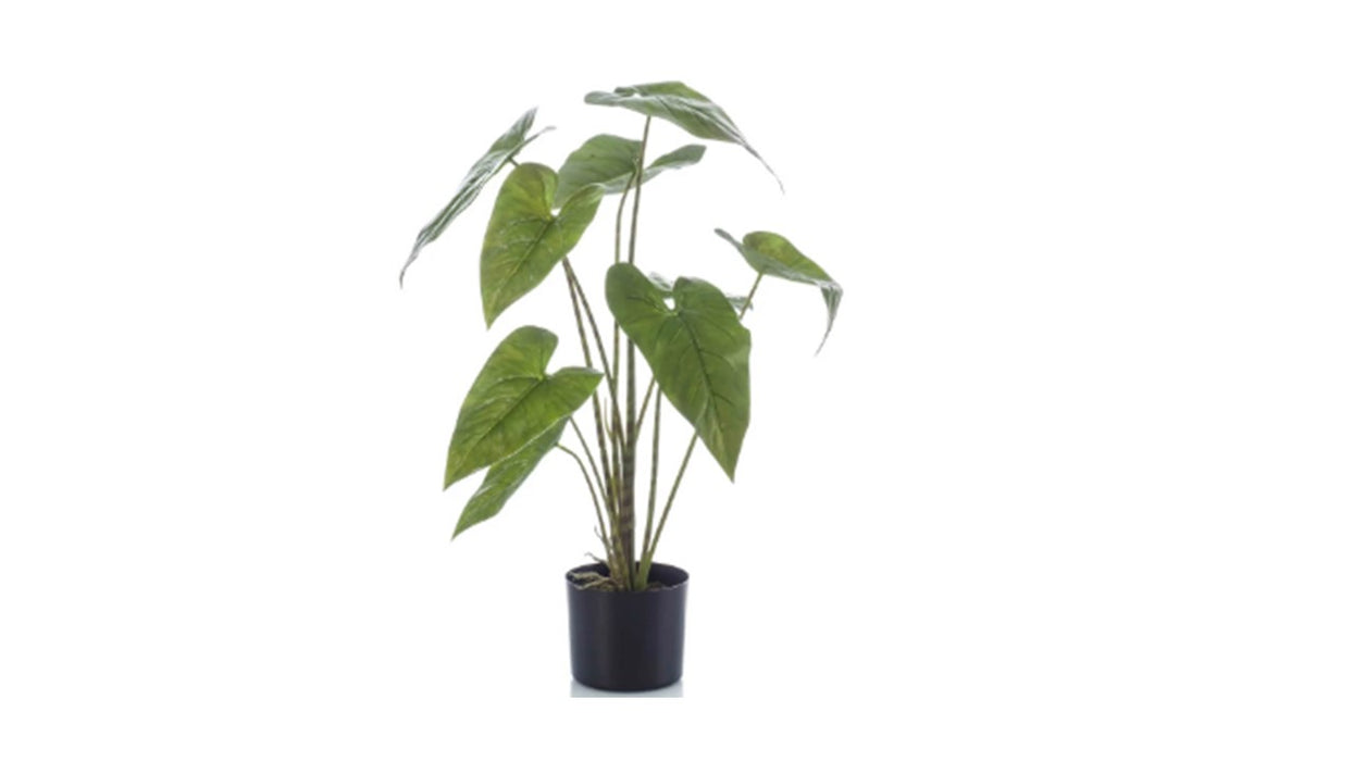 Artificial alocasia zebrina 75cm