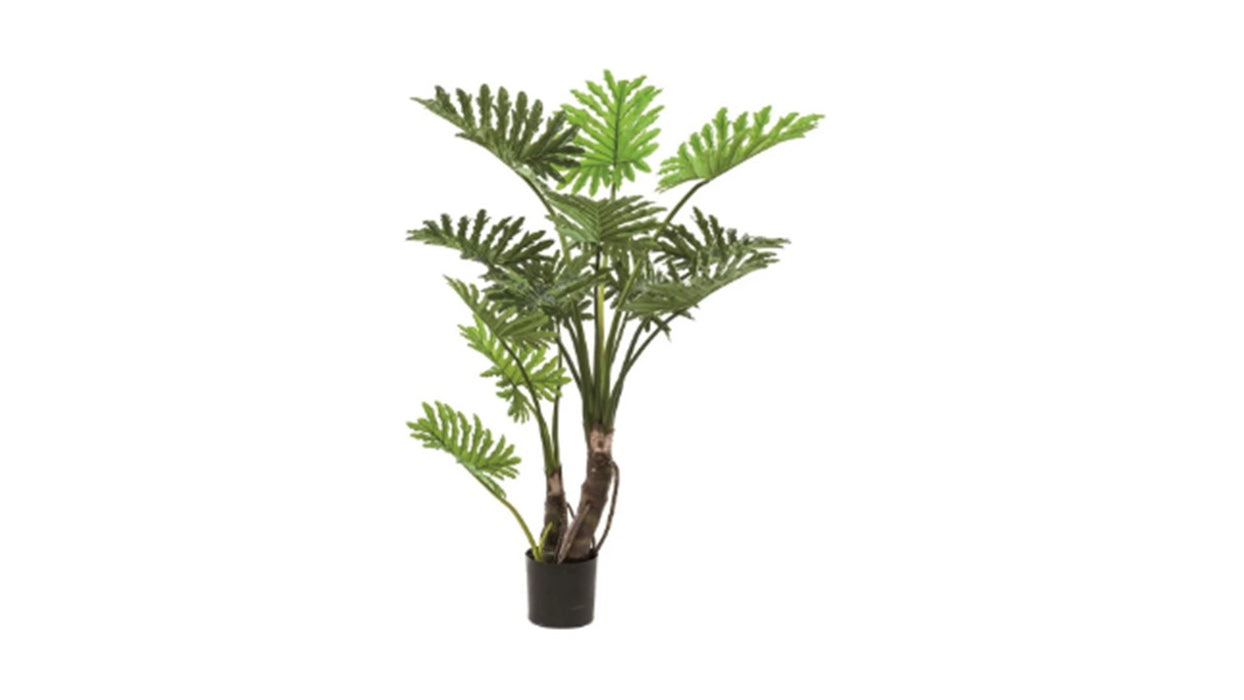 Art. Philodendron selloum 135cm/13lvs