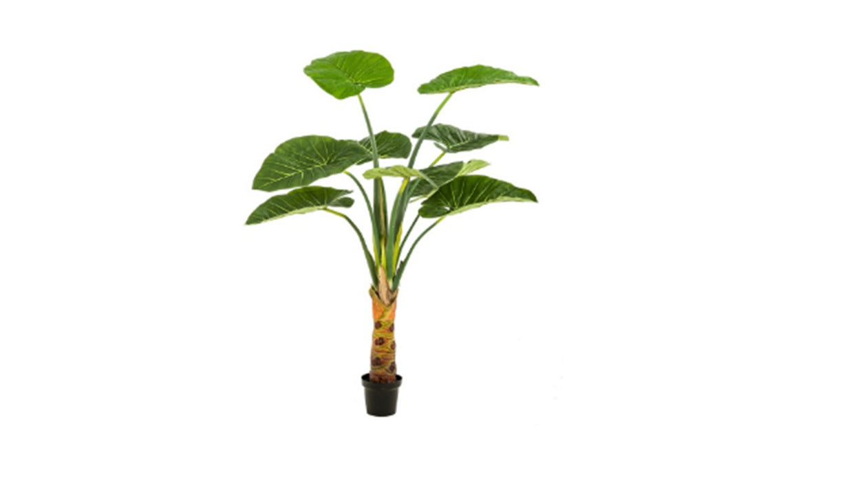 Art. Alocasia 9lvs 160cm