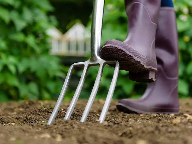 Stainless Steel Digging Fork