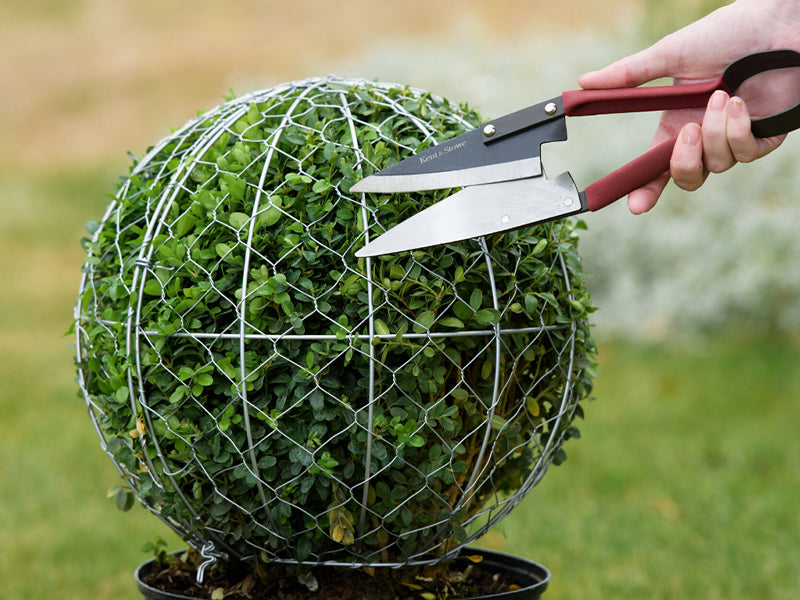 Large Topiary Shears