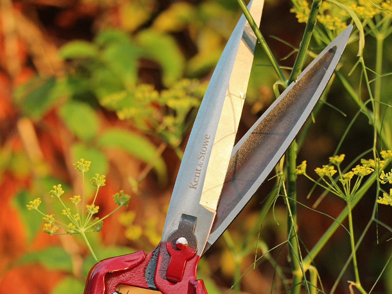 Perennial Hand Shears
