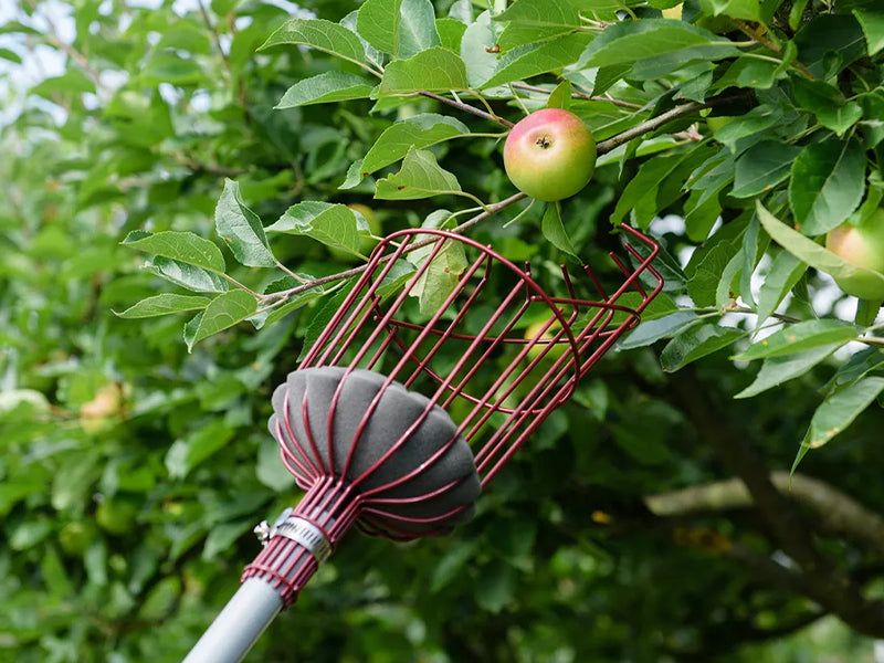 Telescopic Fruit Picker