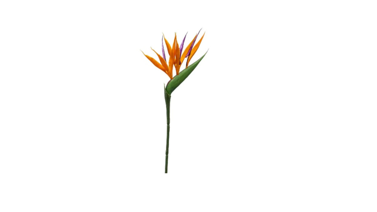 Art. Strelitzia Orange 90cm