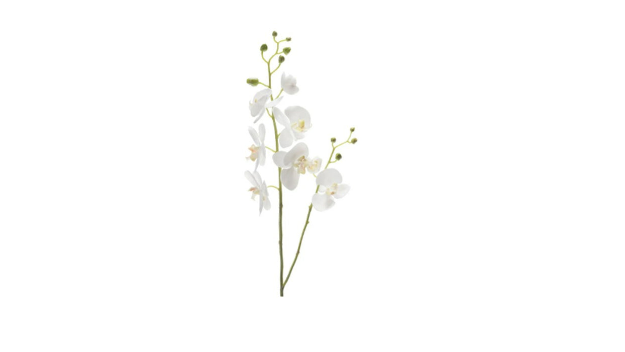 Art. Phalaenopsis Spray  White 95cm