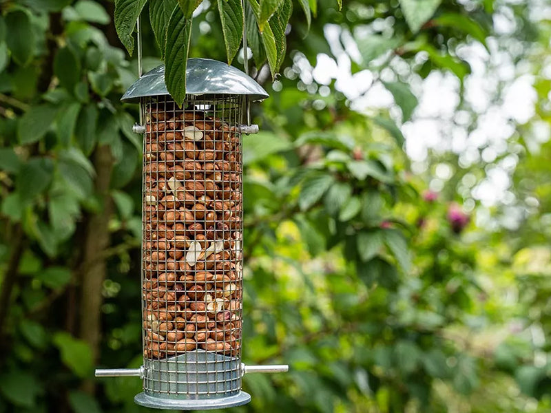 Heavy Duty Peanut Feeder