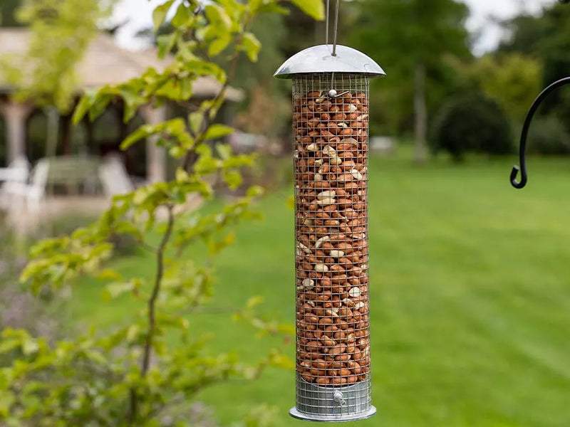 Heavy Duty Large Peanut Feeder