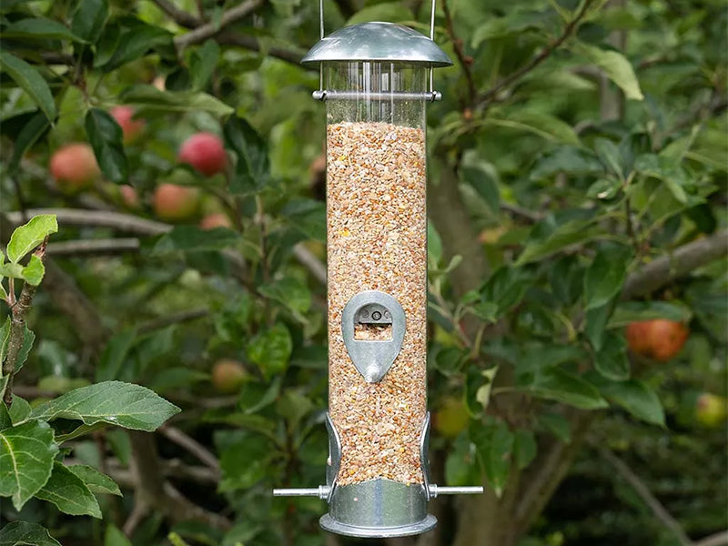 Heavy Duty Large Seed Feeder