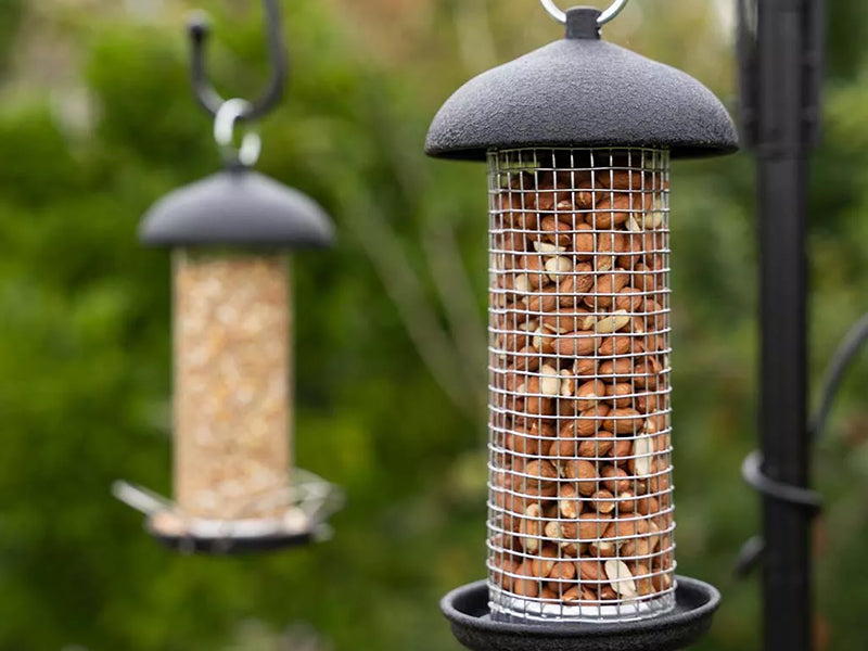 Black Steel Peanut Feeder