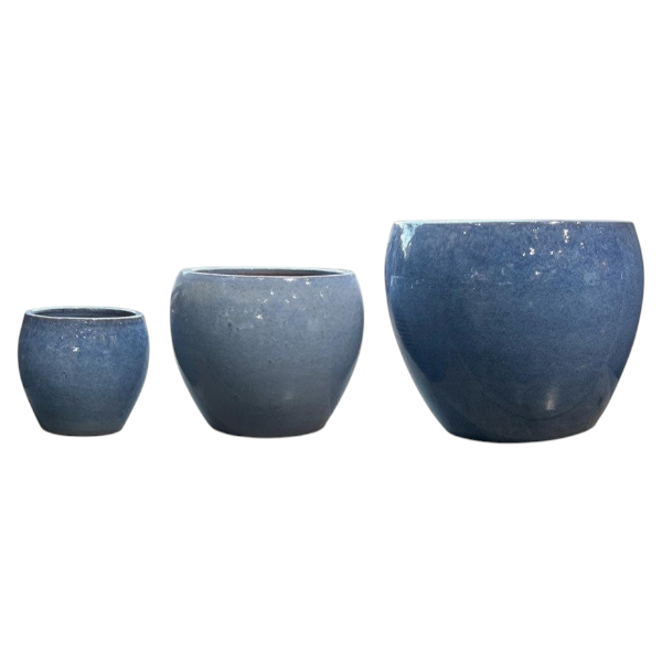Pear pot 'Avio