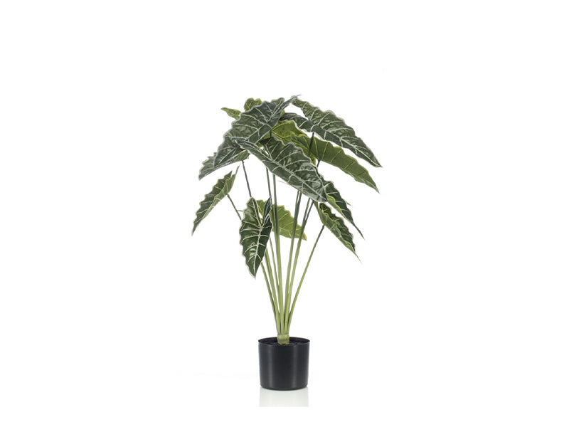 Artificial alocasia amazonica 80cm