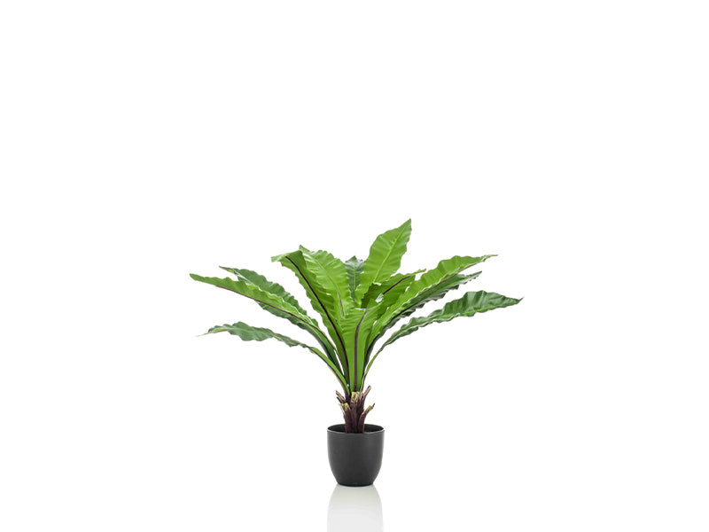 Artificial asplenium 75cm
