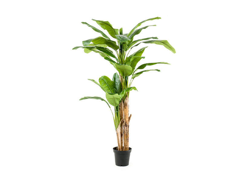 Artificial Banana tree