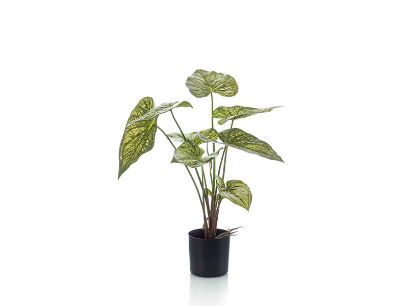 Artificial caladium 60cm