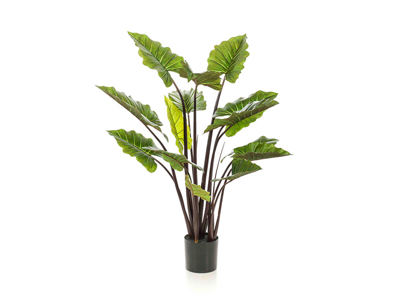 Artificial Colocasia H175cm