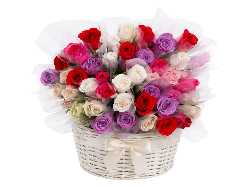 Rose mix 50cm