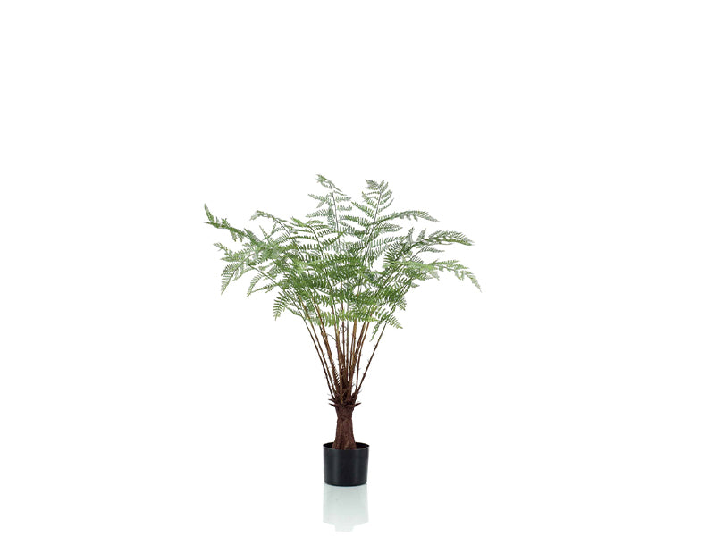 Artificial Fern Plant