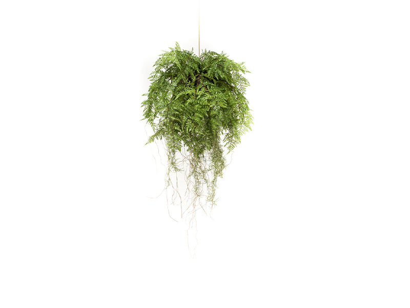 Artificial fern hanging 55cm