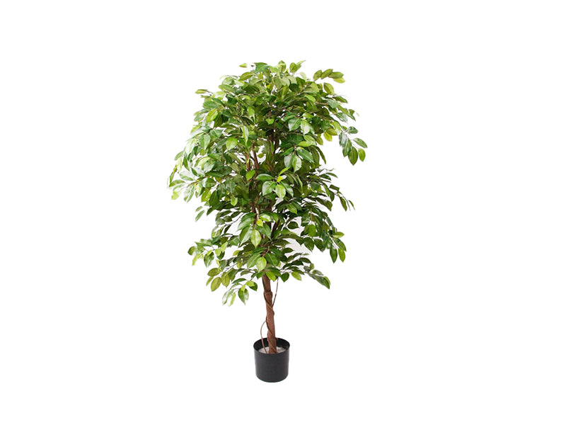 Ficus deluxe Vine Tree 140cm