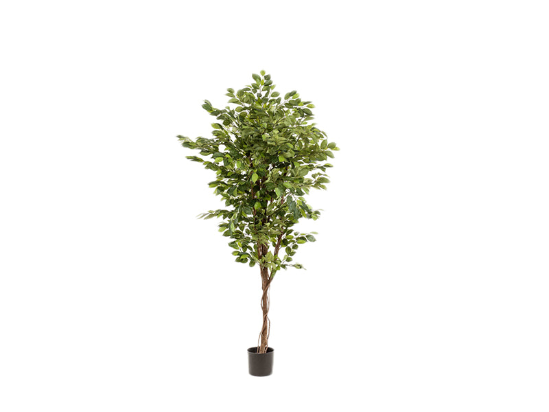 Art. Ficus deluxe Vine Tree 170cm