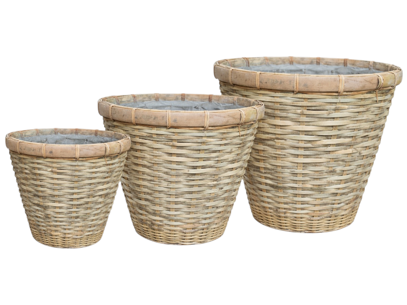 Bamboo V-shape pot 28xH23