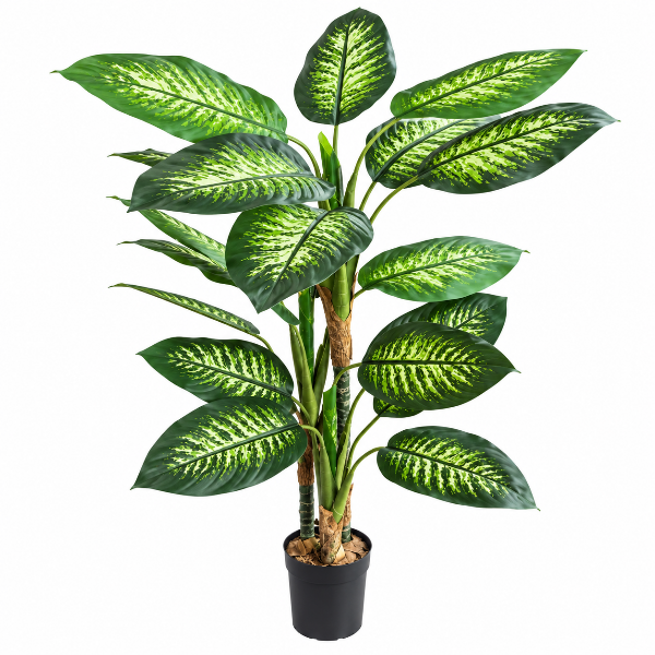 Art. Dieffenbachia maroba H140cm