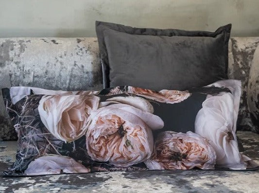 Jetaime Cushion