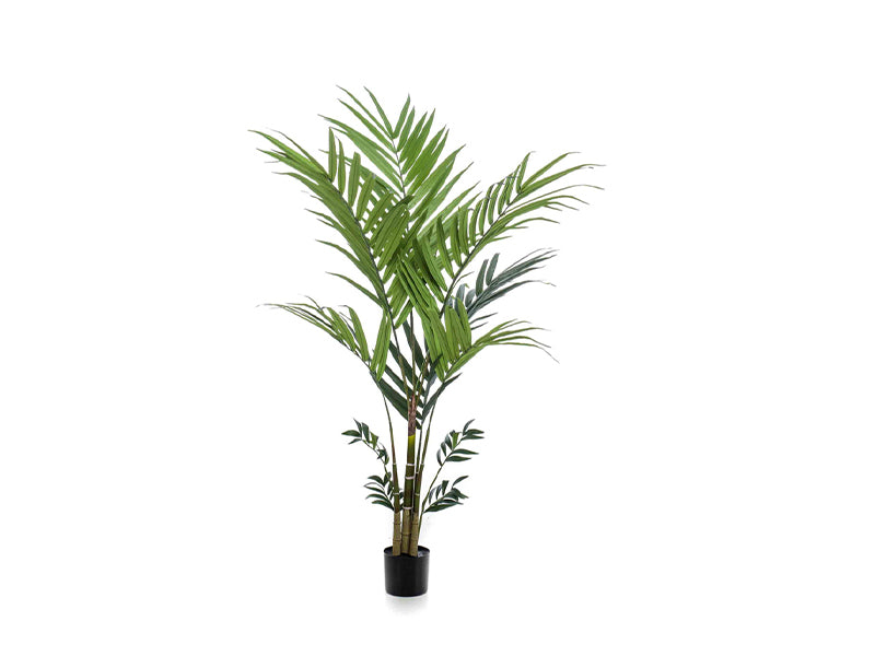 Artificial kentia palm 180cm