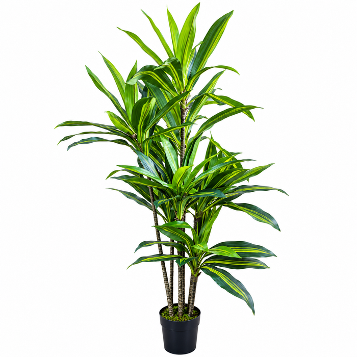 Art. Dracaena 'bushy' H160