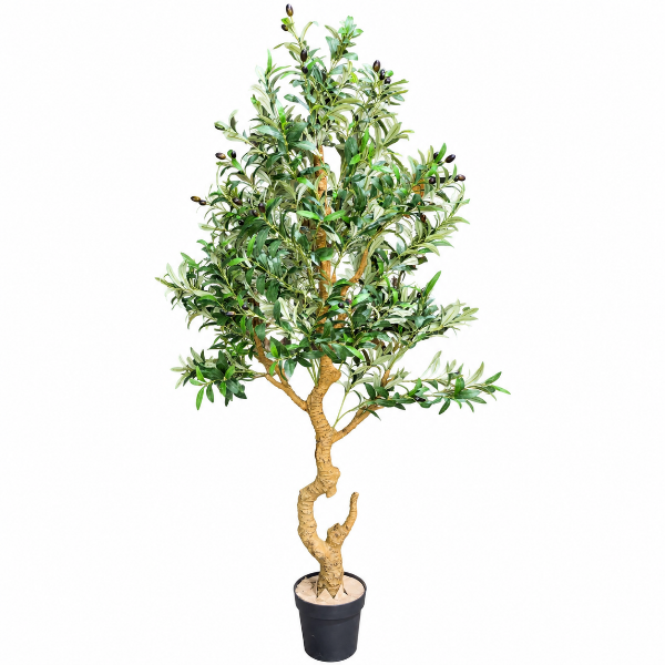 Art. Olive tree H180cm