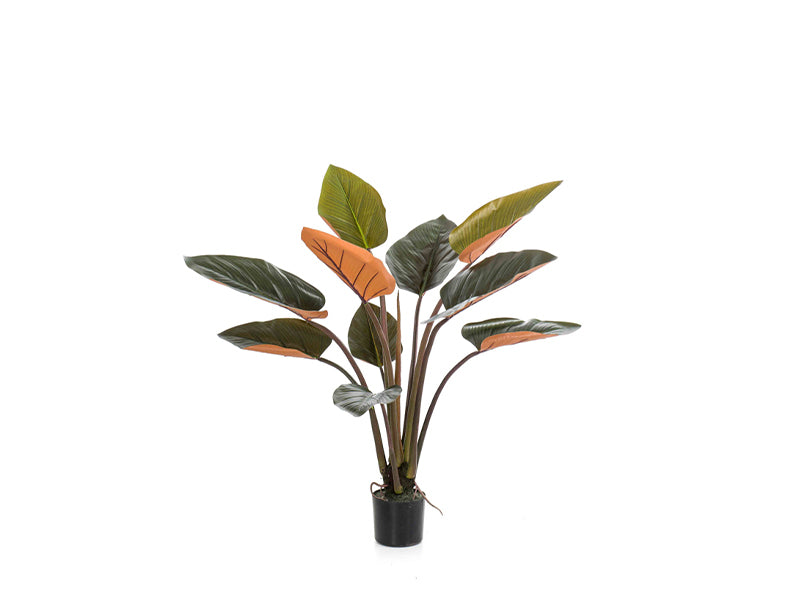 Art. Philodendron 120cm