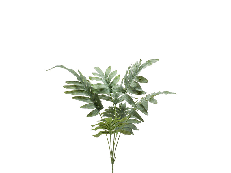 Art. Phlebodium bush '67cm